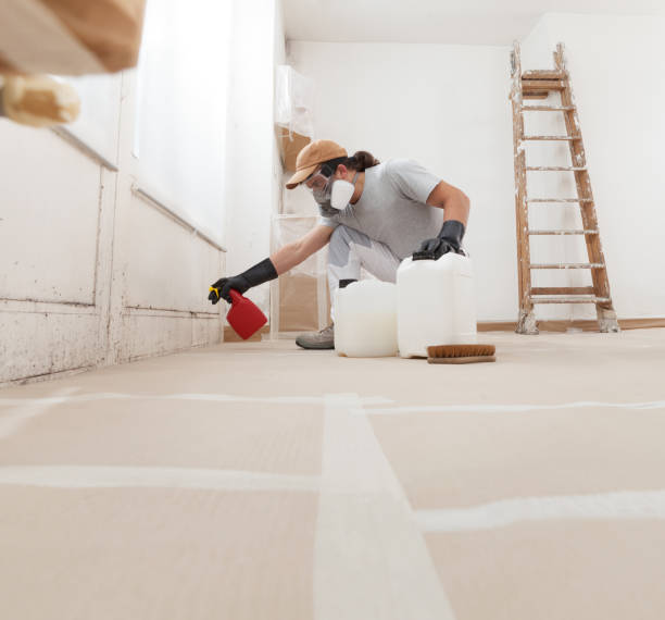 Best Commercial Mold Inspection  in Raymondville, TX
